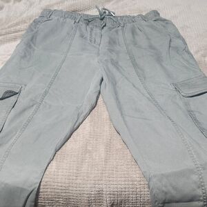 Quince Green Drawstring Tencel Pants Size Xl